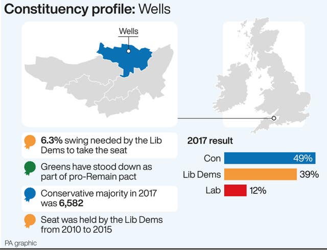 POLITICS Election Wells