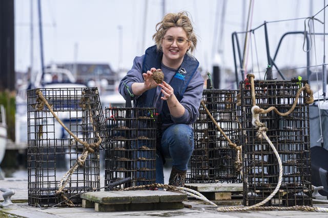 Heidi McIlvenny at an oyster restoration project