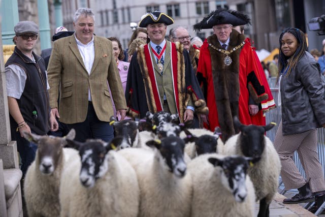 10th London Sheep Drive TOP CHEF RICHARD CORRIGAN TO LEAD 10th LONDON SHEEP DRIVE