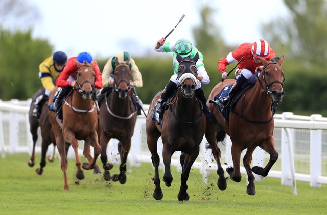 Ripon Races – Sunday 16th May