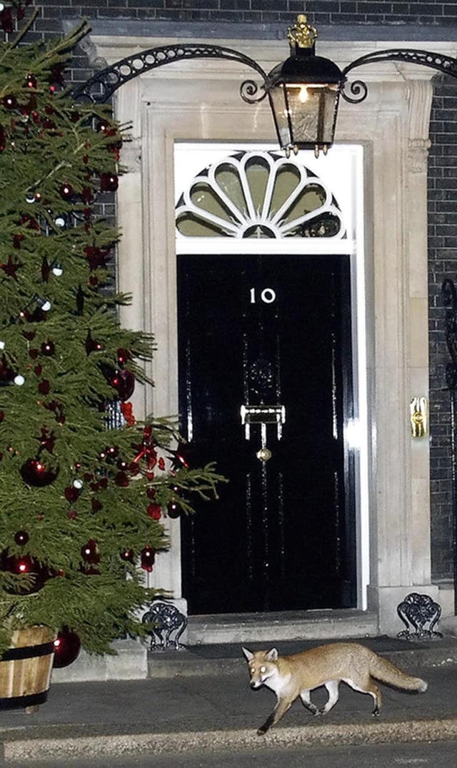 EU Summit