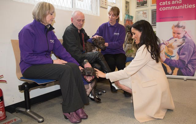 The duchess met Wully Struthers and his staffies Azzy and Gallis during her trip to the animal welfare charity. Eddie Mulholland/Daily Telegraph