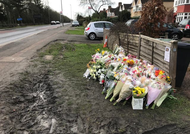 Aliny Mendes murder