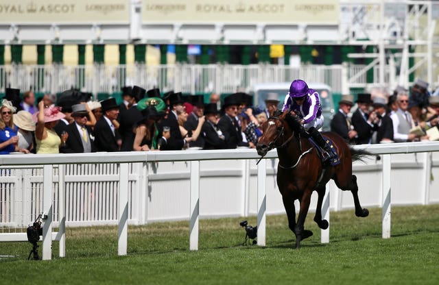 Kew Gardens is unlikely to be Aidan O'Brien's last winner this week