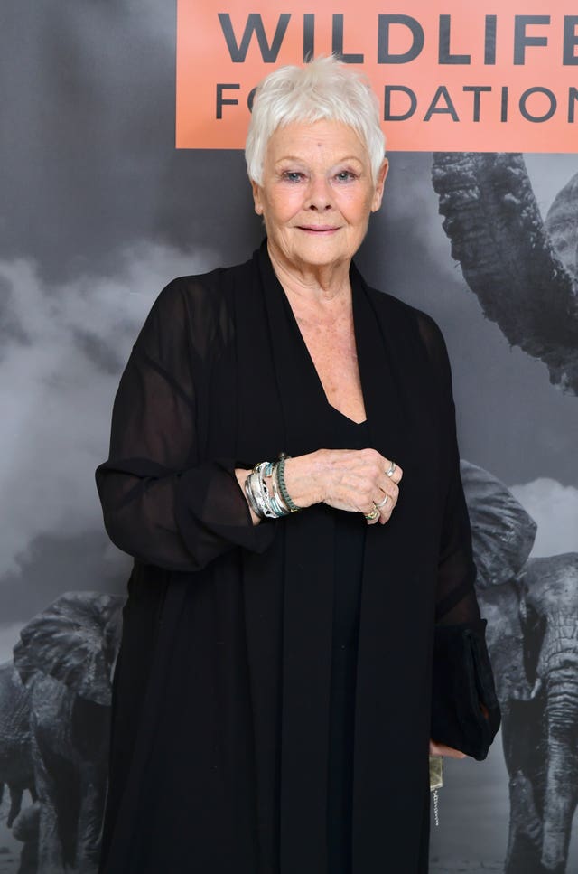 Dame Judi Dench comments