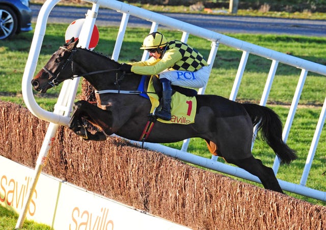 Al Boum Photo is seeking a third Gold Cup win