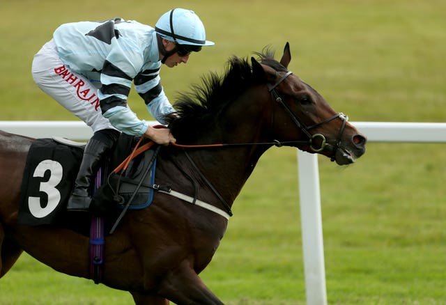 Martyn Meade's Zechariah