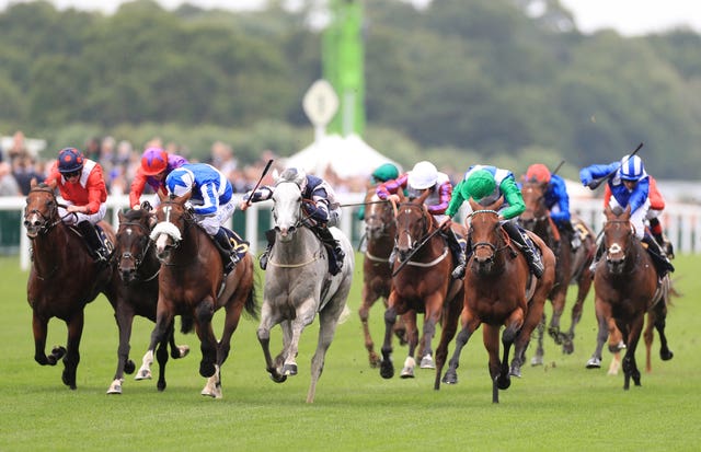 Lord Glitters (grey) comes out on top in the Queen Anne