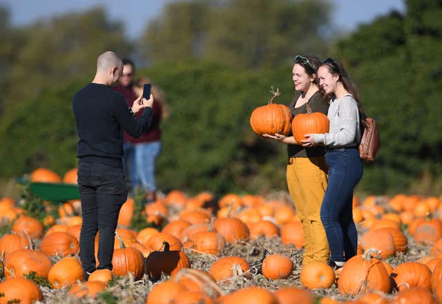 Undley Pumpkin Patch