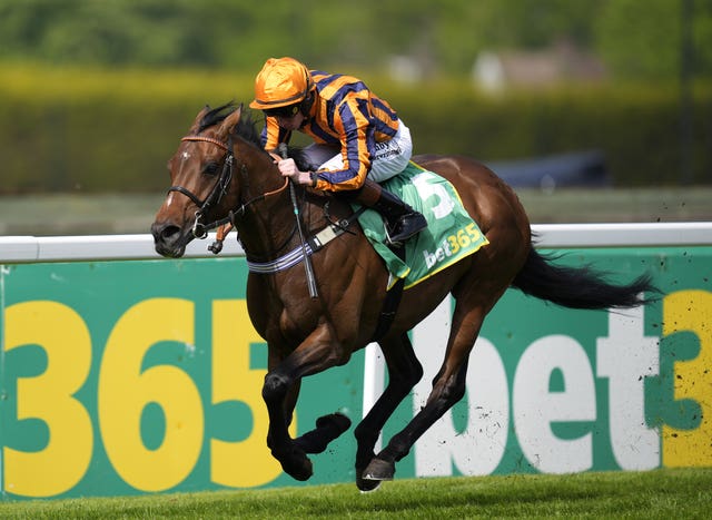 Dancing Gemini winning at Sandown last year 