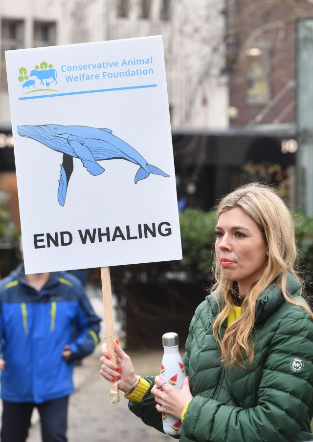 Whaling in Japan