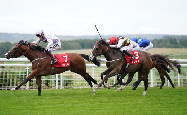 Aratus was on a roll last year but has not managed to win this season