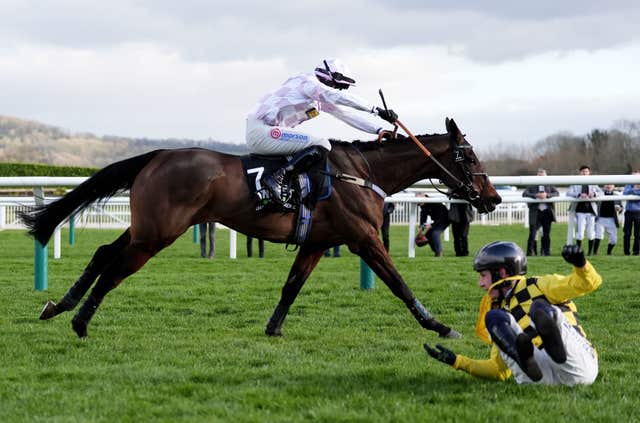 Golden Ace took full of advantage of State Man's fall at Cheltenham