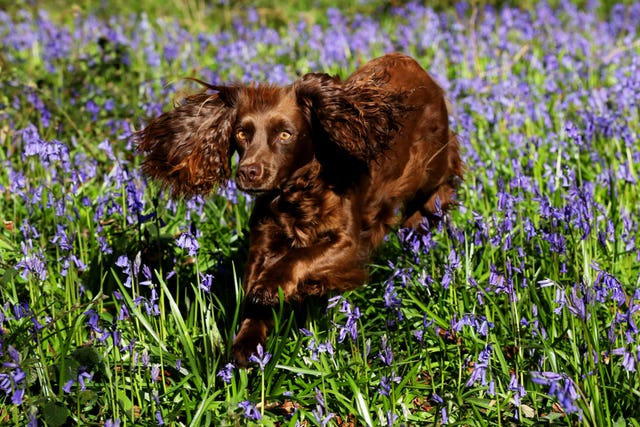 Spring weather Apr 22nd 2021