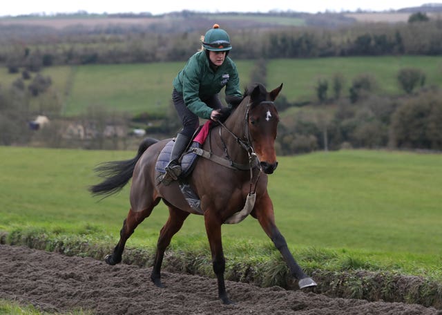 Blaklion on the gallops at his former home with Nigel Twiston-Davies