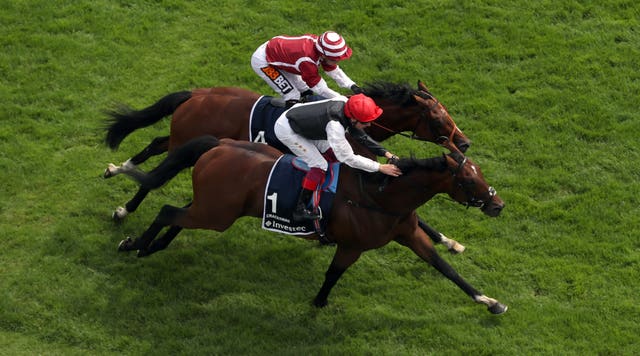 Salouen (far side) went down narrowly to Cracksman in the Coronation Cup