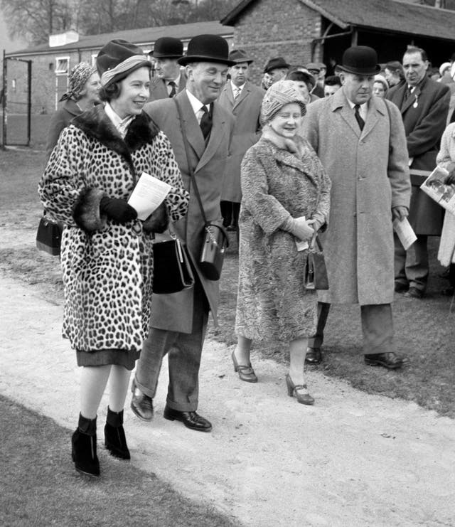 Queen in leopard skin