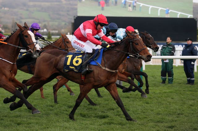 Eglantine Du Seuil was a surprise 50-1 winner at the Cheltenham Festival last week