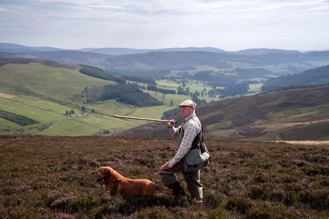 Gamekeeper and dog on a moor