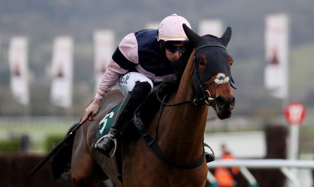 Singlefarmpayment has lots of good form at Cheltenham