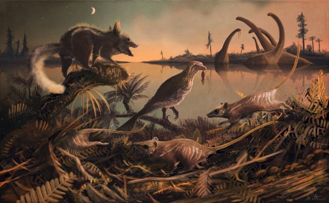 Early Cretaceous fossils