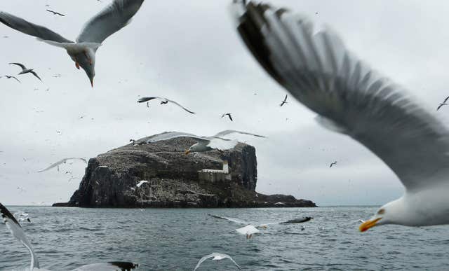 Bass Rock