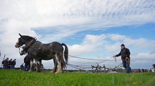 National Ploughing Championships 2025
