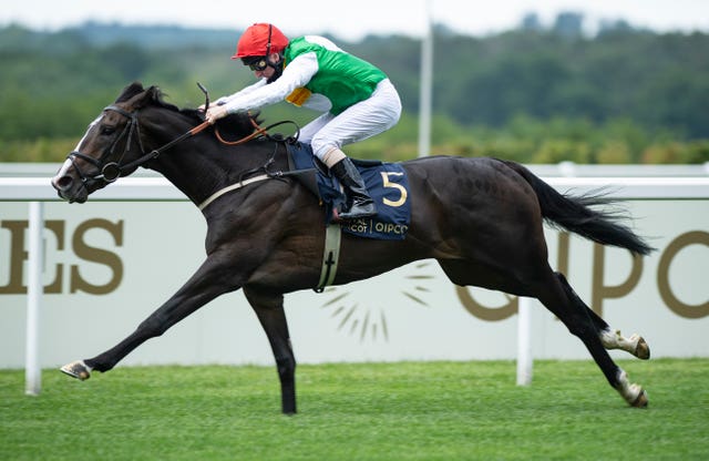 Pyledriver was unplaced for Martin Dwyer