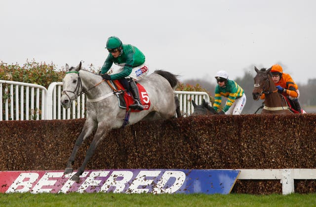 Terrefort is an interesting contender for Nicky Henderson
