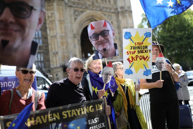 Brexit protesters