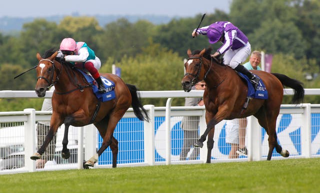 Magical (right) has twice given the mighty Enable a run for her money