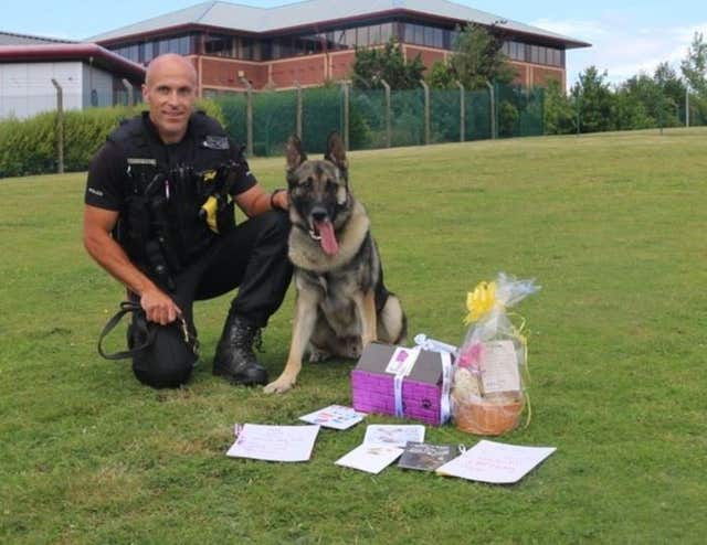Injured police dog