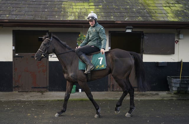 Galopin Des Champs at Willie Mullins' yard