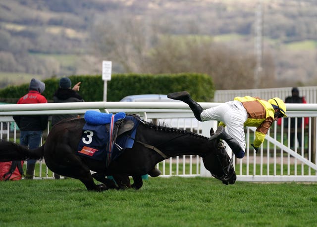 Galopin Des Champs had the race at his mercy when falling at Cheltenham