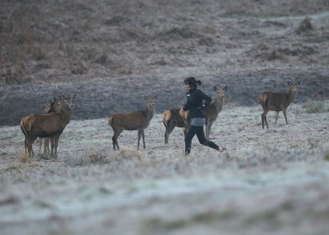 A woman jogging in Richmond Park, in south west London