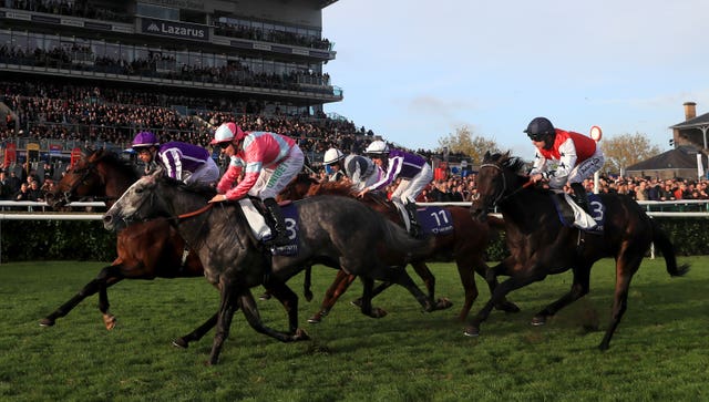 Phoenix Of Spain (grey) pushed Magna Grecia all the way at Doncaster