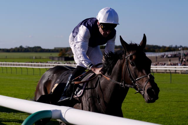 Miss Alpilles was a surprise winner
