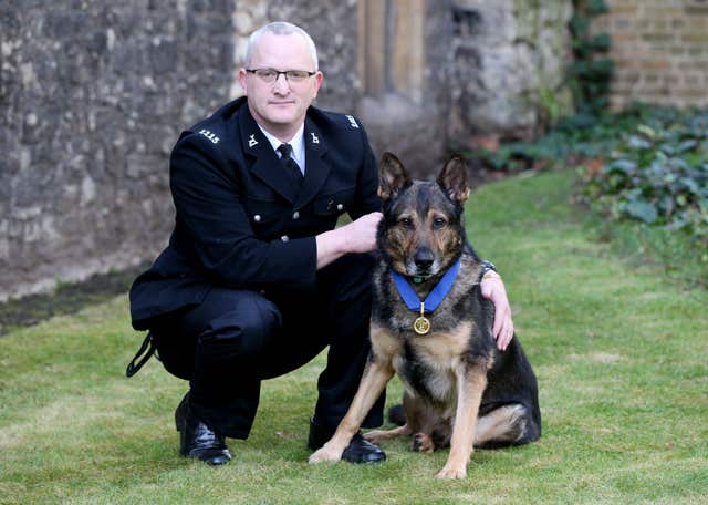 Police dog receives PDSA Gold Medal