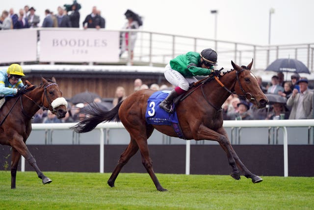 Absolutelyflawless in the clear at Chester