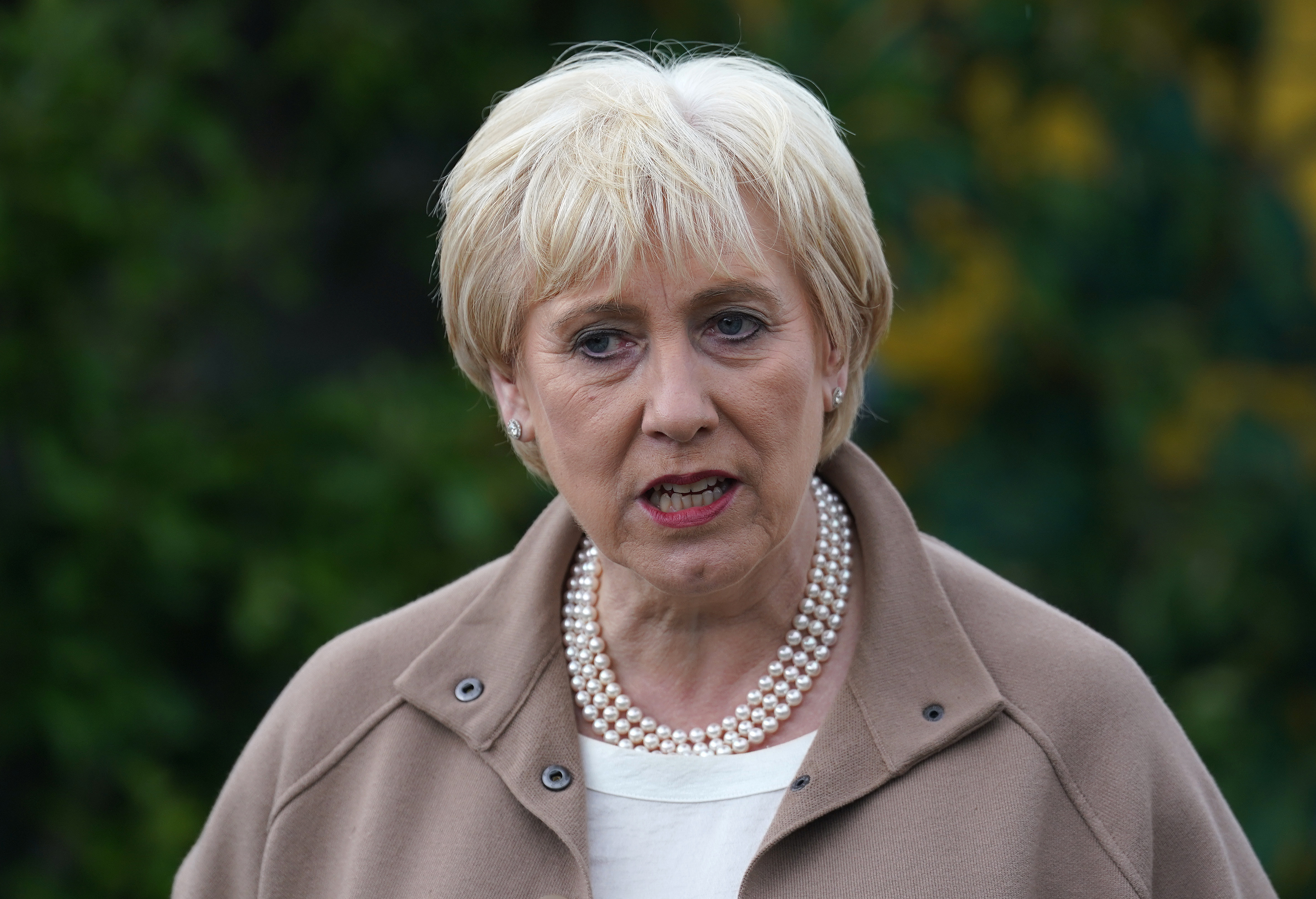 Woman killed in dog attack in Co. Limerick