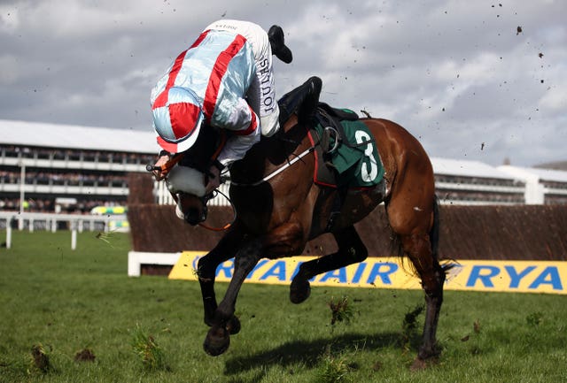 Itchy Feet parts company with Gavin Sheehan at Cheltenham