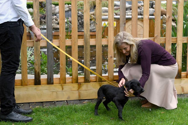 Sophie was taken with Hendrix, the 15-week-old cocker spaniel puppy, of the Sturt family. Stuart C Wilson/PA Wire