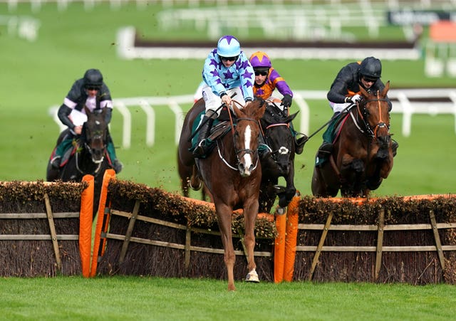 Bardenstown Lad has winning form at Cheltenham