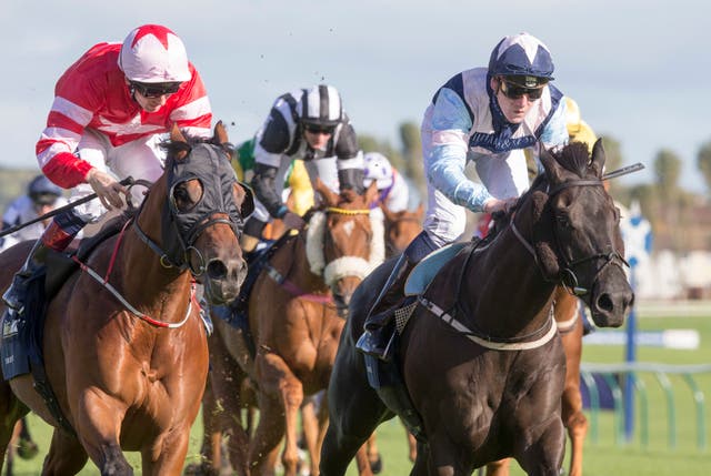 Baron Bolt (right) is set to return after his dead heat with Son Of Rest in last year's William Hill Ayr Gold Cup