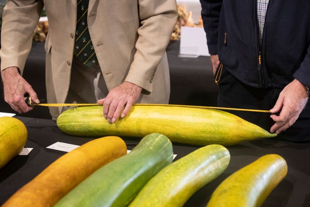 Harrogate Autumn Flower Show giant vegetable competition
