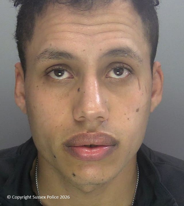 Handout mugshot of Karin Al-Danasurt