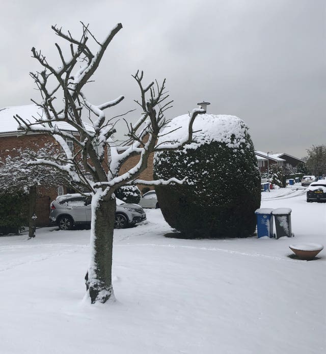 Winter weather Feb 1st 2019