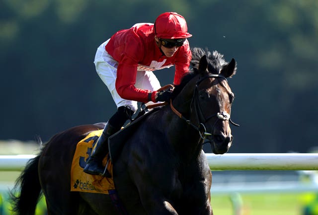 Haydock winner Chindit is quickly back in action