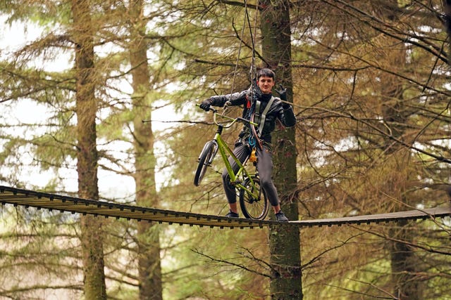 Zip Trail at Tibradden Wood