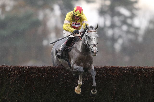 Politologue is highly rated by trainer Paul Nicholls